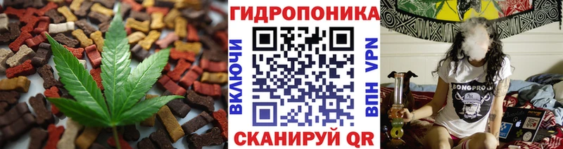 Cannafood конопля Чудово