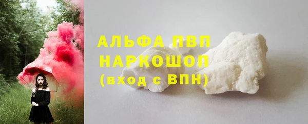 индика Вуктыл