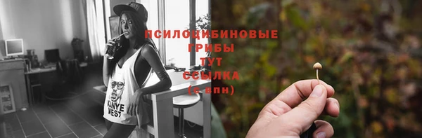 альфа пвп Семикаракорск