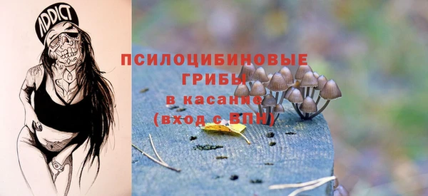 spice Семёнов