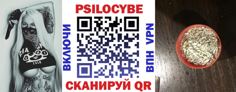 сколько стоит  Чудово  Псилоцибиновые грибы Psilocybe 
